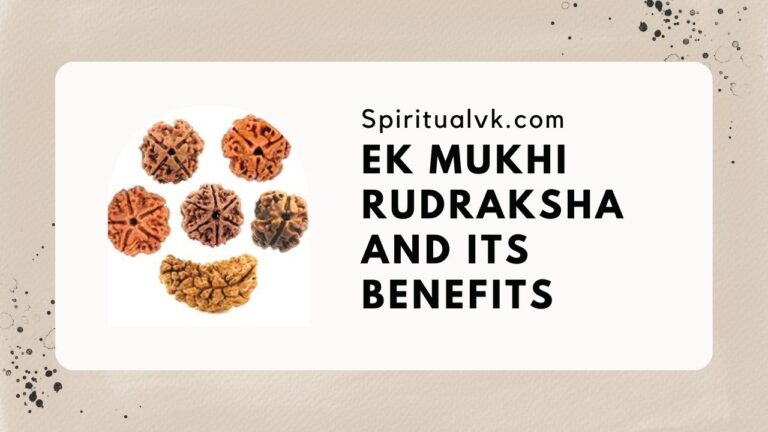 Ek Mukhi Rudraksha and Its Benefits