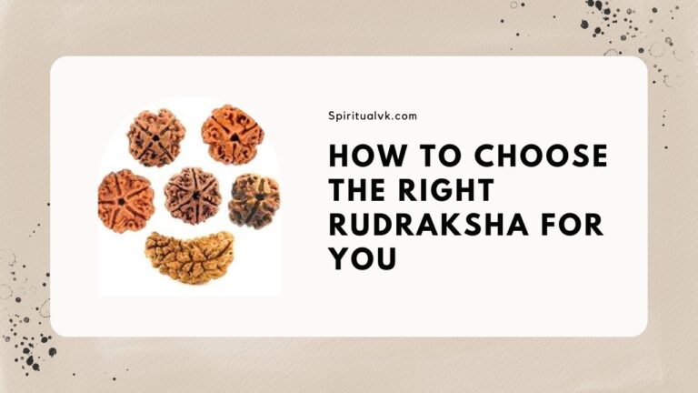 How To Choose The Right Rudraksha For You